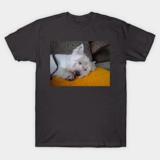 west highland white terrier sleeping T-Shirt